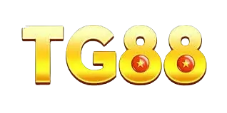 2tg88 com